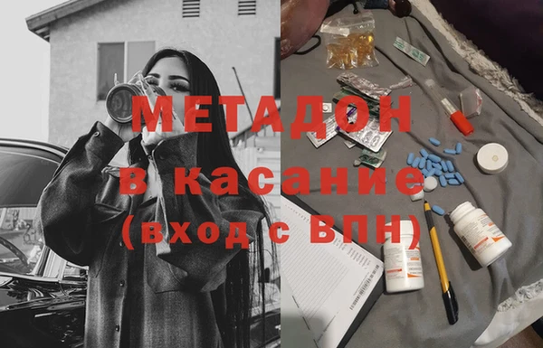 индика Вяземский