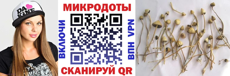 Купить закладки  Инсар  Псилоцибиновые грибы ЛСД 